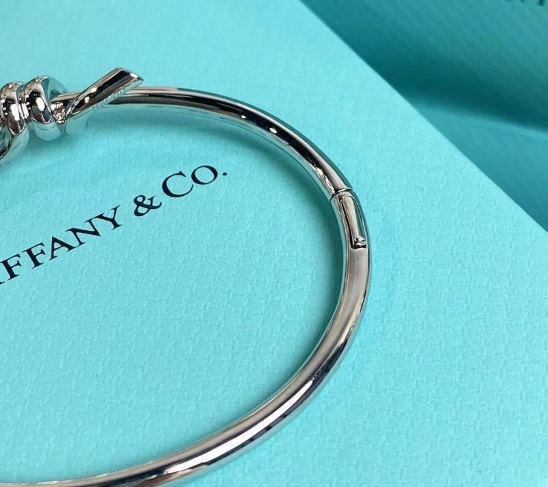 Tiffany Bracelets MultiPurpose 253261