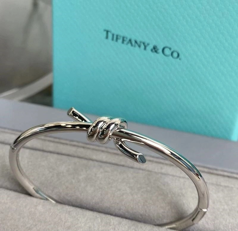 Tiffany Bracelets MultiPurpose 253261