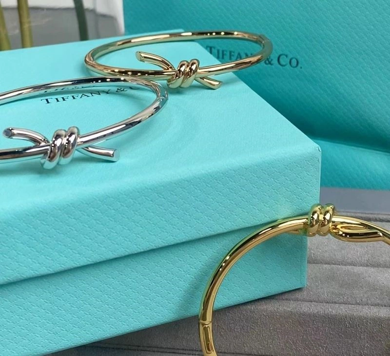 Tiffany Bracelets MultiPurpose 253261