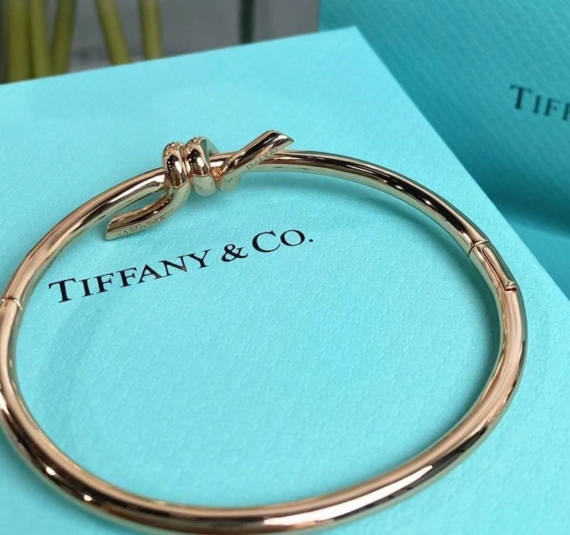 Tiffany Bracelets GoAnywhere 253270