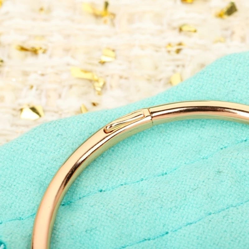 Tiffany Bracelets SmartChoice 252831
