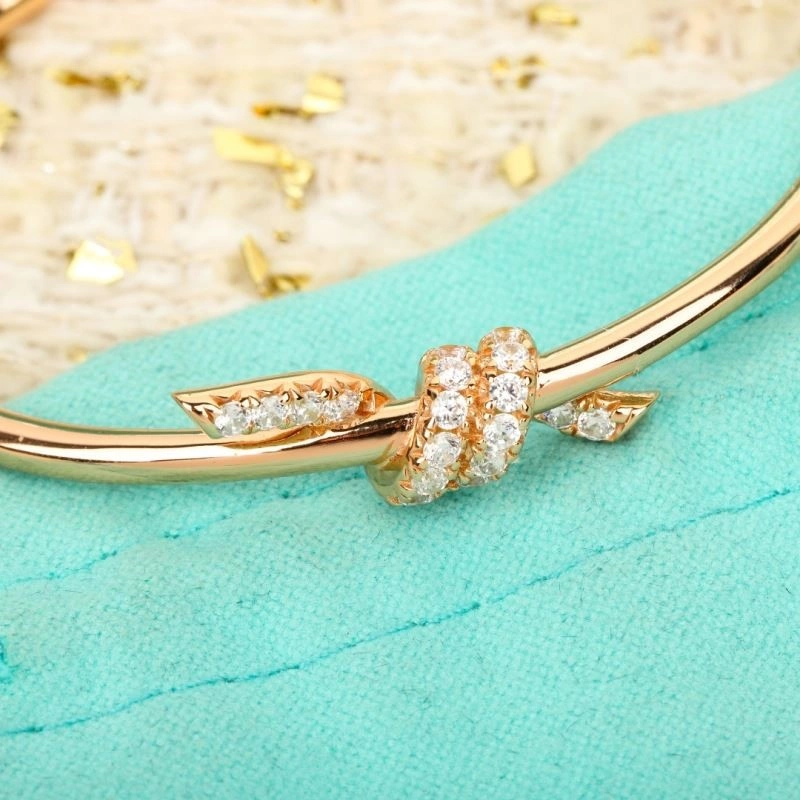 Tiffany Bracelets SmartChoice 252831