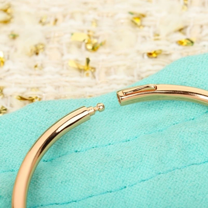 Tiffany Bracelets SmartChoice 252831