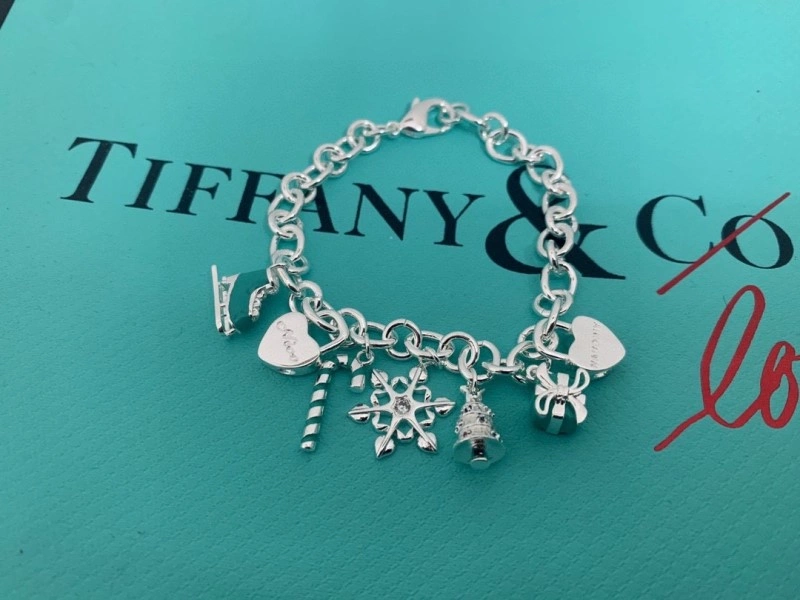 Tiffany Bracelets DailyWear 252378