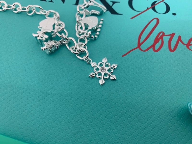 Tiffany Bracelets DailyWear 252378