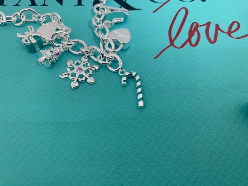 Tiffany Bracelets DailyWear 252378
