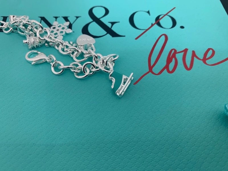 Tiffany Bracelets DailyWear 252378