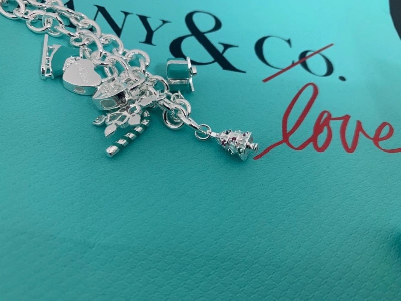 Tiffany Bracelets DailyWear 252378