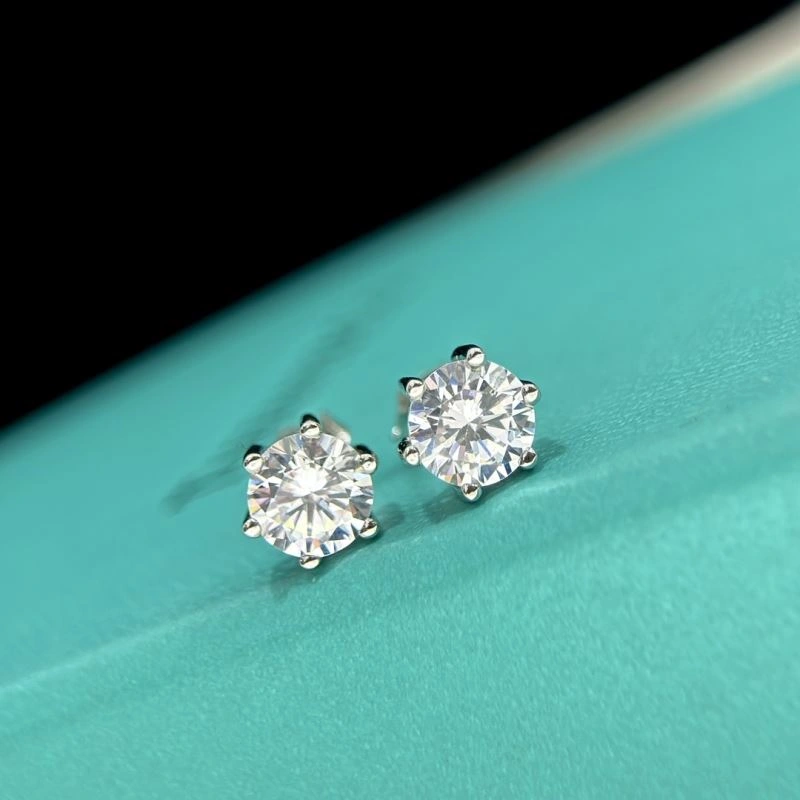 Tiffany Earrings Snug 253896