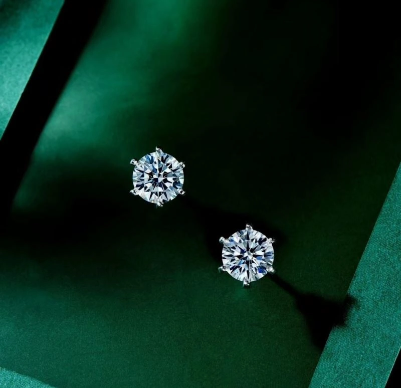 Tiffany Earrings Snug 253896