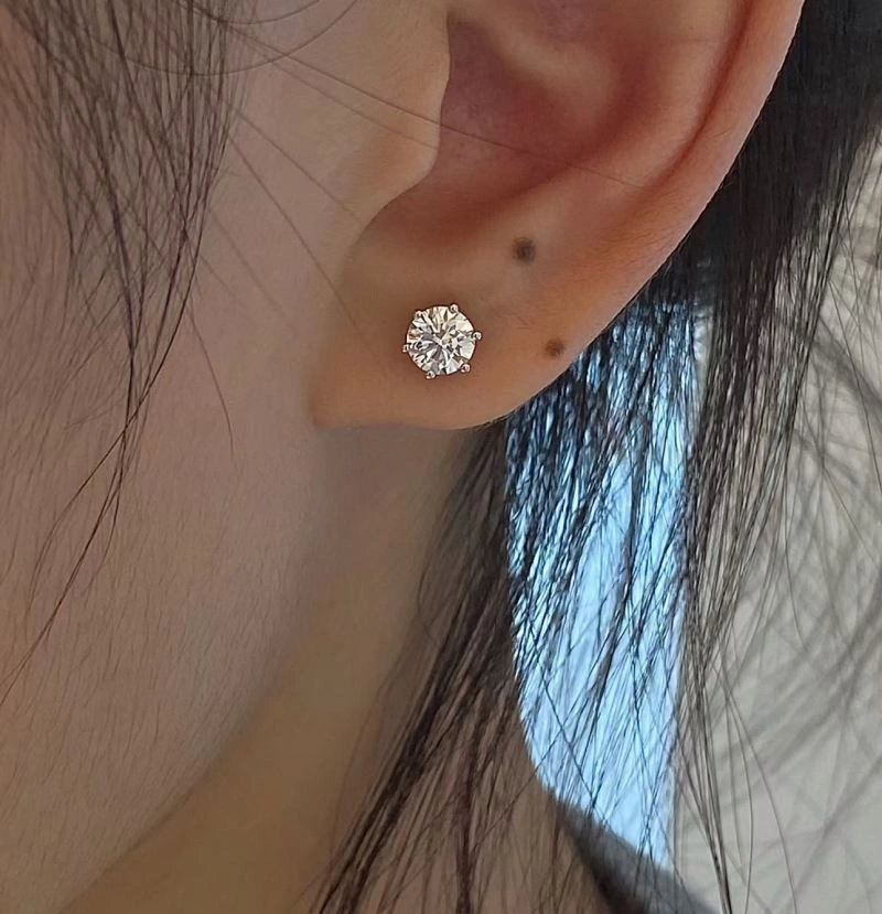 Tiffany Earrings Snug 253896