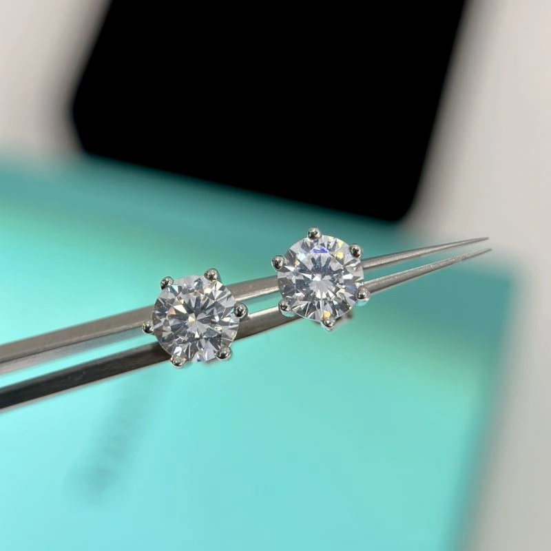 Tiffany Earrings Snug 253896