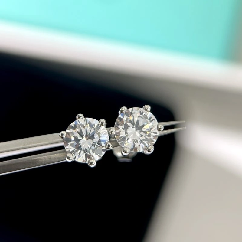 Tiffany Earrings Snug 253896