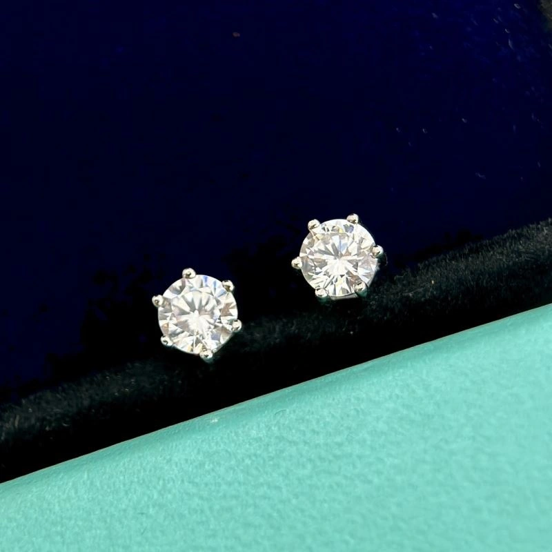 Tiffany Earrings Snug 253896