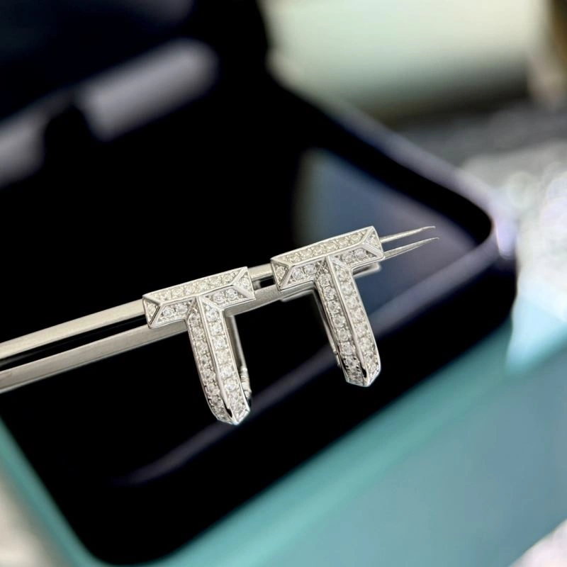 Tiffany Earrings HighPerformance 253869