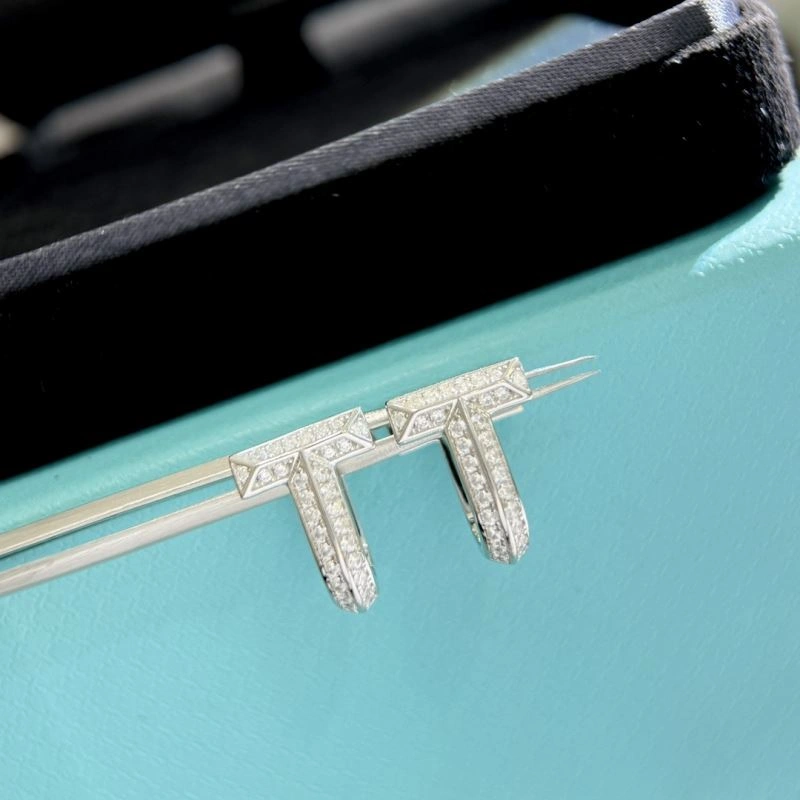 Tiffany Earrings HighPerformance 253869