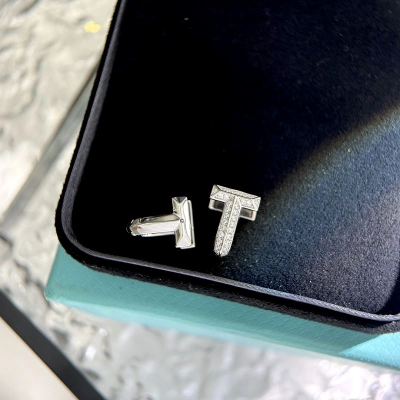 Tiffany Earrings HighPerformance 253869