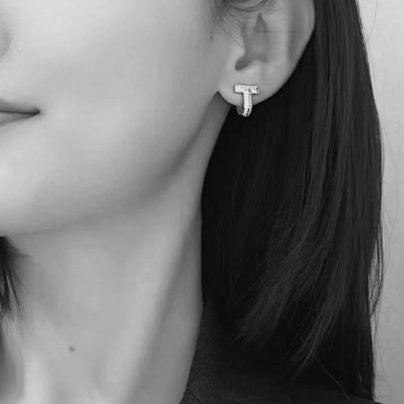 Tiffany Earrings HighPerformance 253869