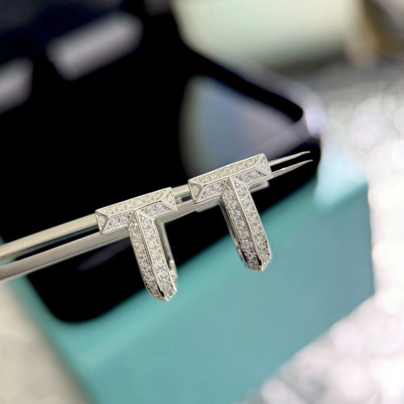 Tiffany Earrings HighPerformance 253869