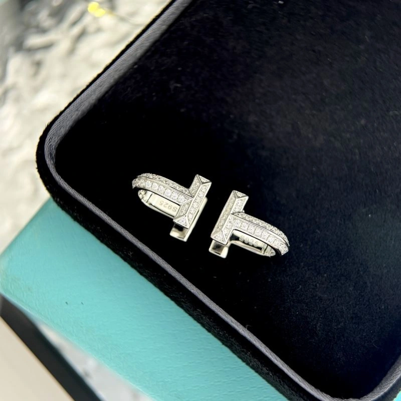Tiffany Earrings HighPerformance 253869