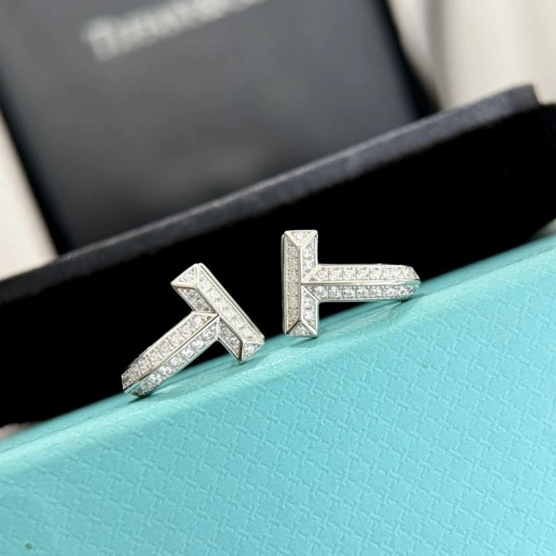 Tiffany Earrings HighPerformance 253869