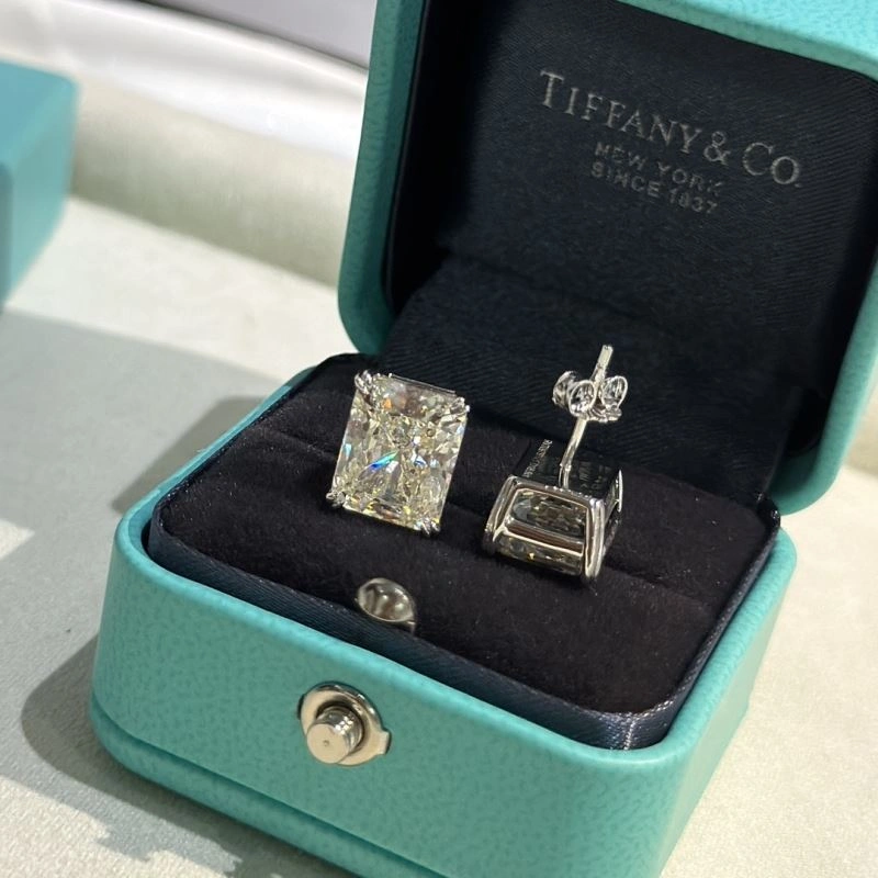 Durable Tiffany Earrings 253866