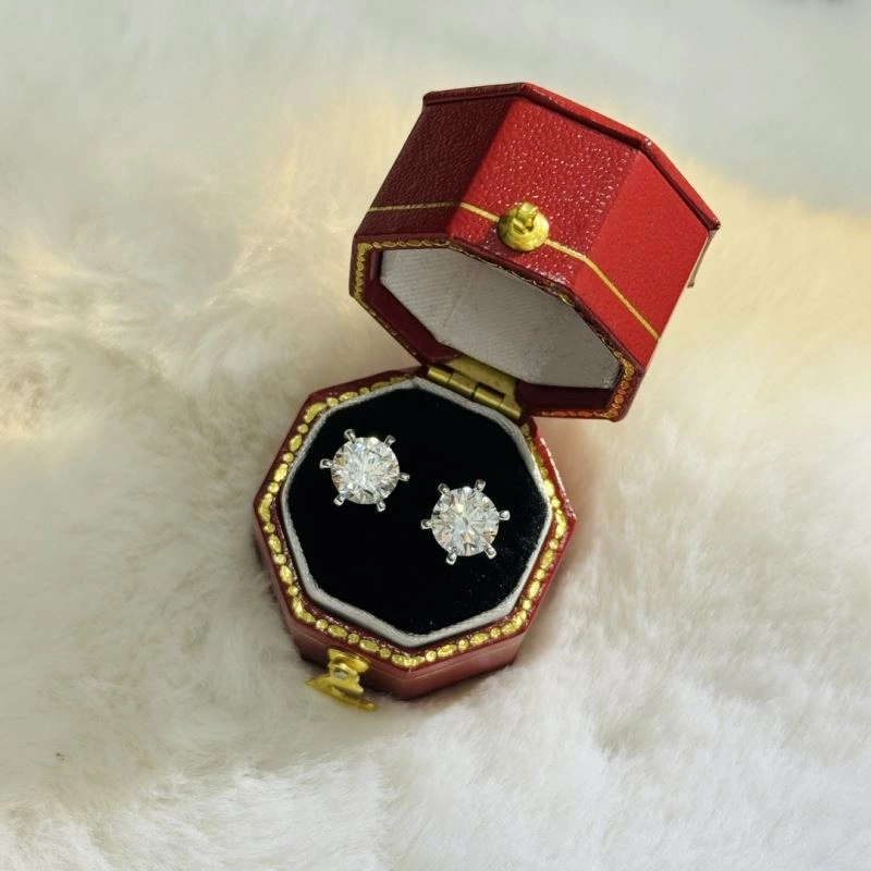 Tiffany Earrings Lightweight 253838