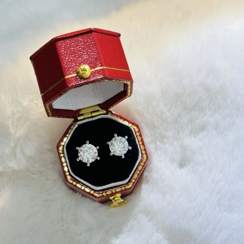 Tiffany Earrings Lightweight 253838