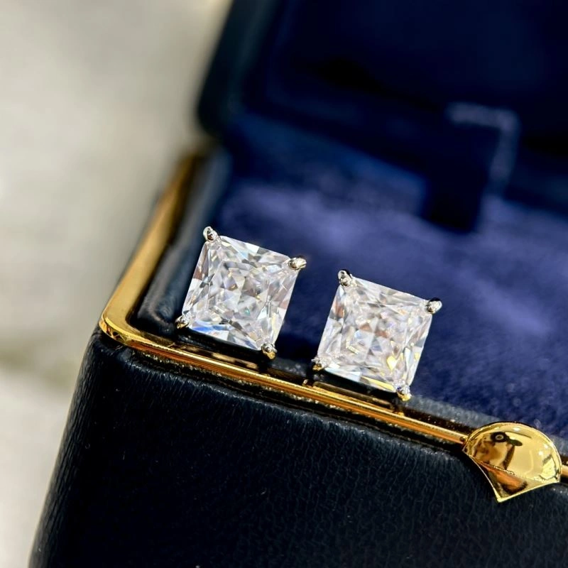 QuickDry Tiffany Earrings 253826