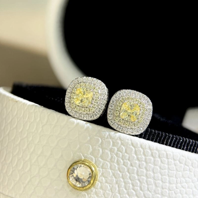 Tiffany Earrings Unisex 253829