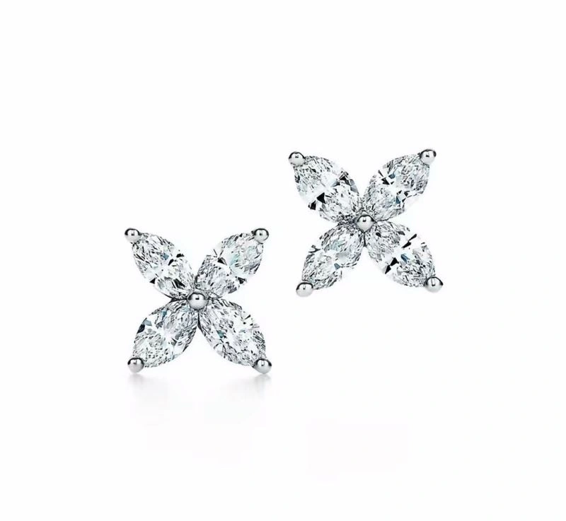Tiffany Earrings Snug 253972