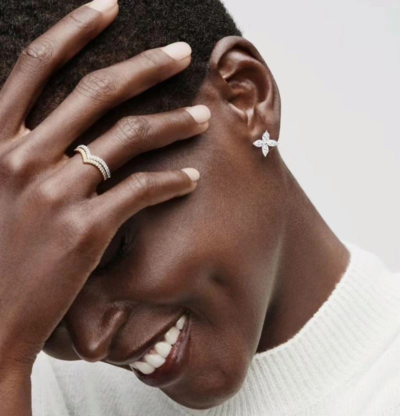 Tiffany Earrings Snug 253972