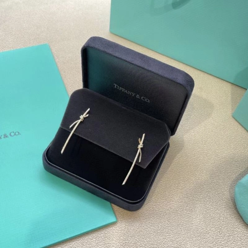EasyCare Tiffany Earrings 253943