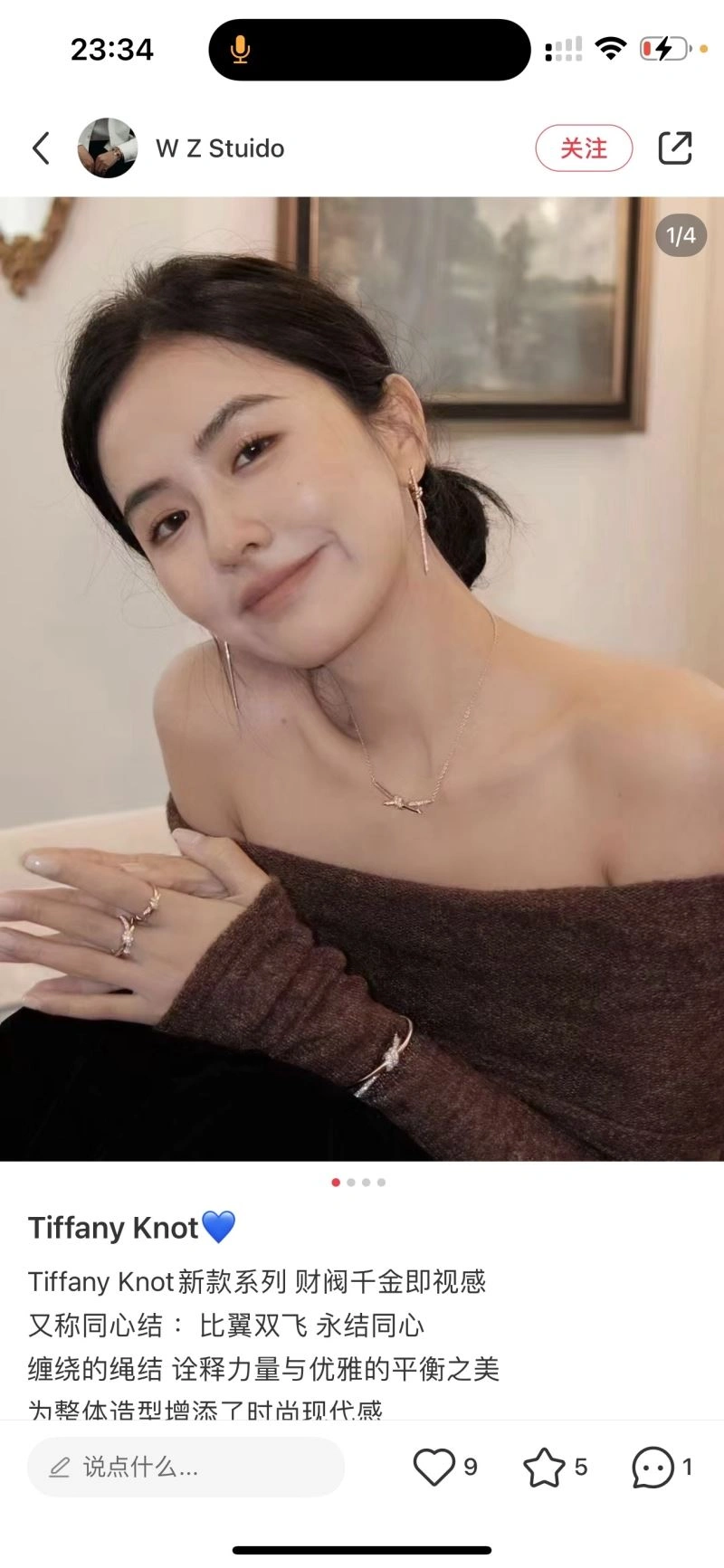 EasyCare Tiffany Earrings 253943
