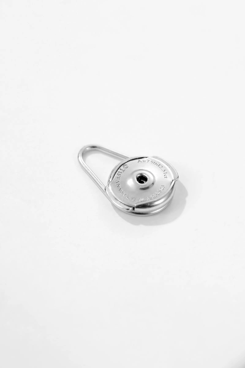 Tiffany Earrings TechFriendly 253922