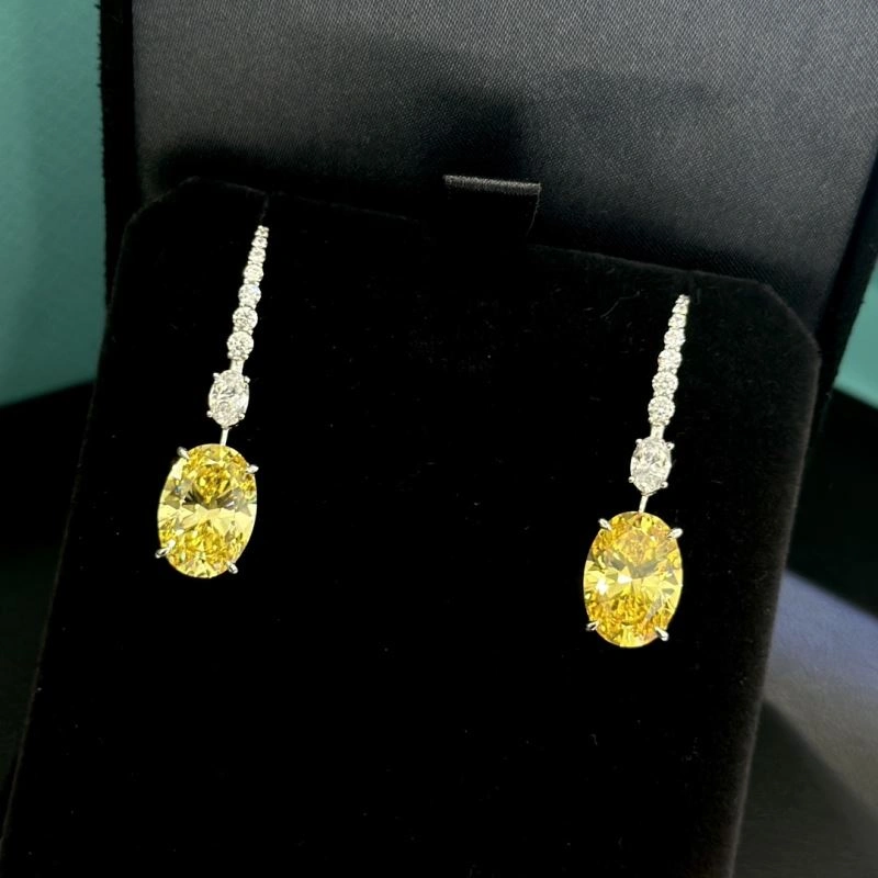 Tiffany Earrings Unisex 253907