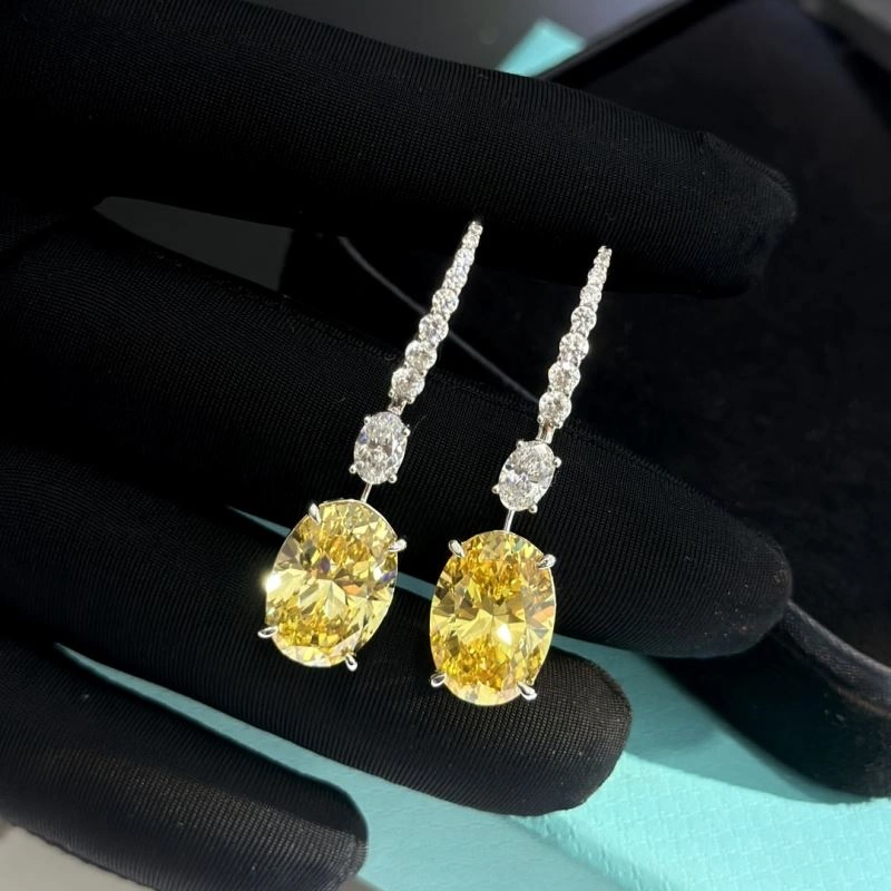 Tiffany Earrings Unisex 253907