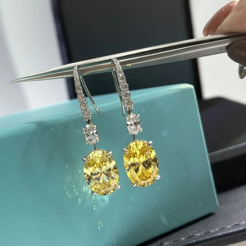 Tiffany Earrings Unisex 253907