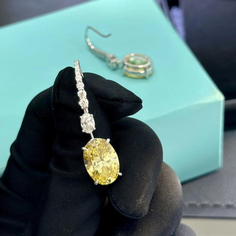 Tiffany Earrings Unisex 253907