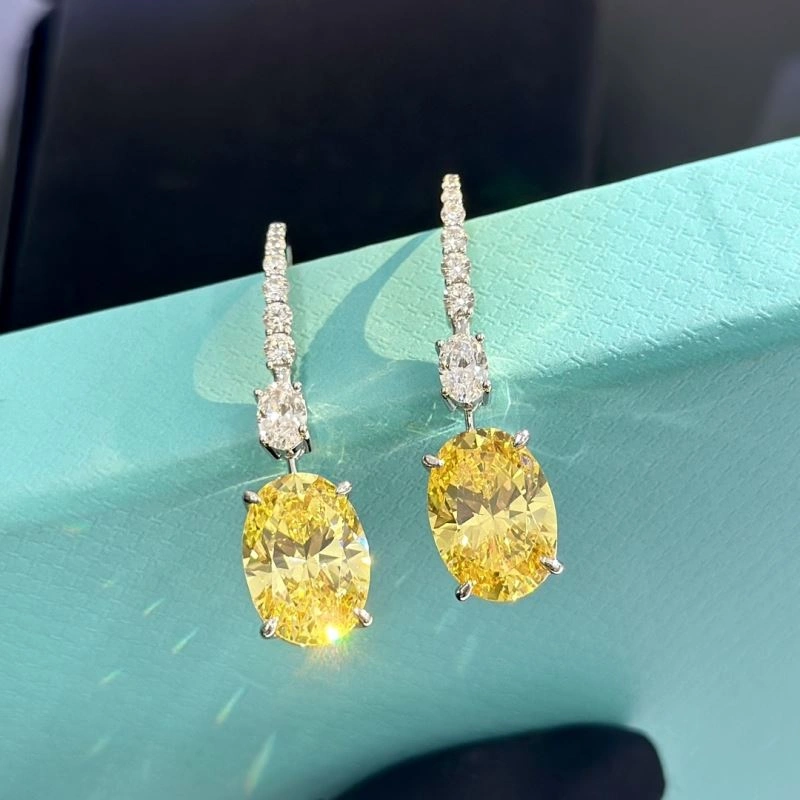Tiffany Earrings Unisex 253907