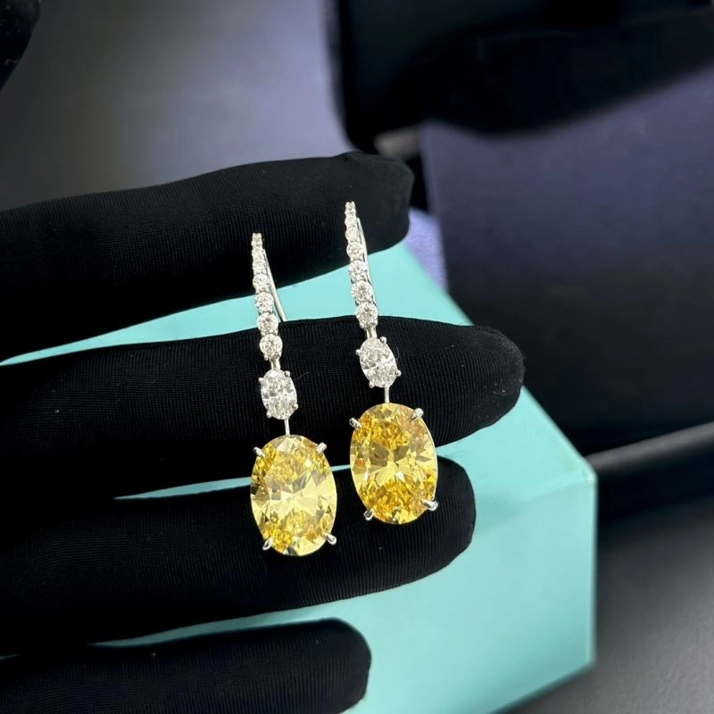 Tiffany Earrings Unisex 253907