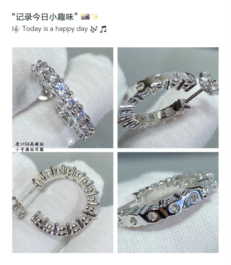 Tiffany Earrings TechFriendly 253808