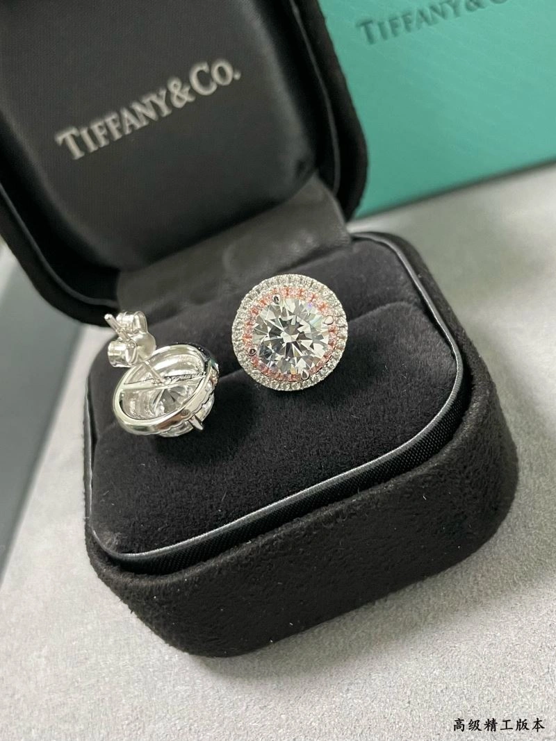 Unique Tiffany Earrings 253781