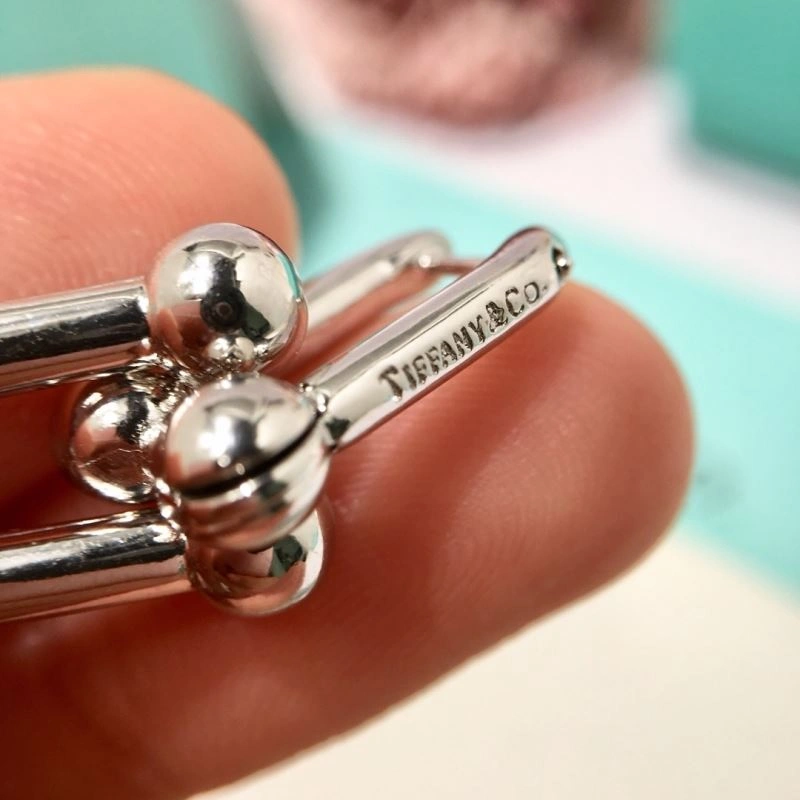 Tiffany Earrings WellDesigned 253752