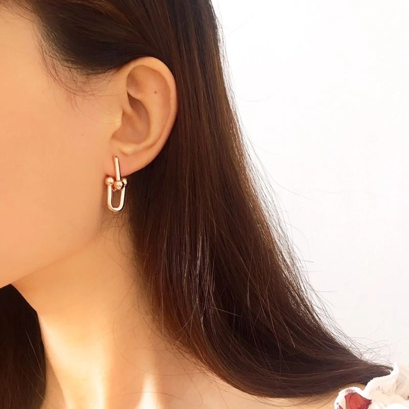 Tiffany Earrings WellDesigned 253752