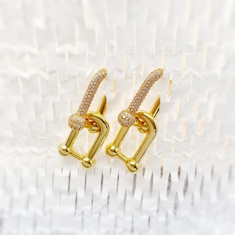 Tiffany Earrings Upgraded 253758