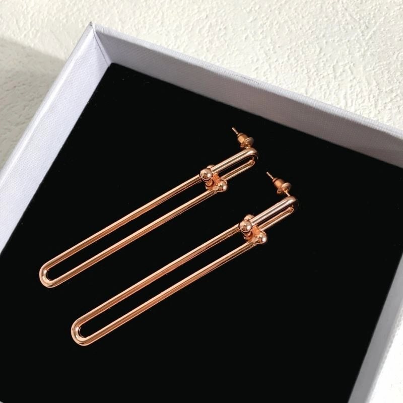 Contemporary Tiffany Earrings 253742