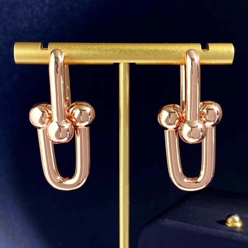EyeCatching Tiffany Earrings 253772