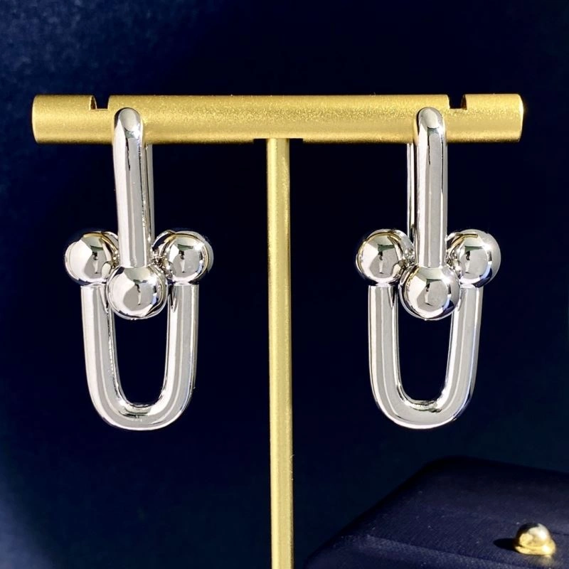 EyeCatching Tiffany Earrings 253772