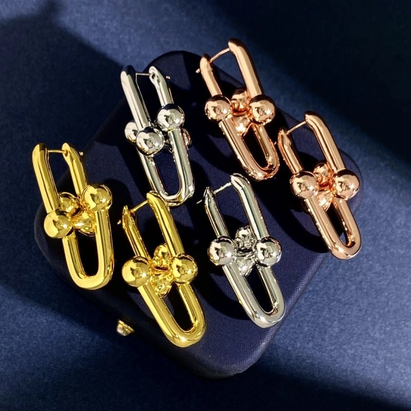 EyeCatching Tiffany Earrings 253772